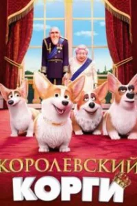  Королевский корги 