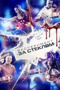  Эксперимент «За стеклом» 