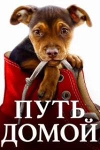  Путь домой 