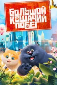  Большой кошачий побег 