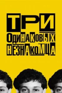  Три одинаковых незнакомца 