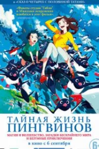  Тайная жизнь пингвинов 