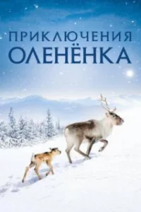  Приключения оленёнка 