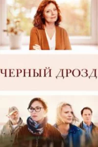  Чёрный дрозд 