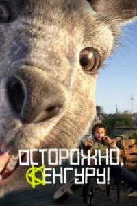  Осторожно, Кенгуру! 