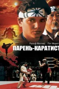  Парень-каратист 