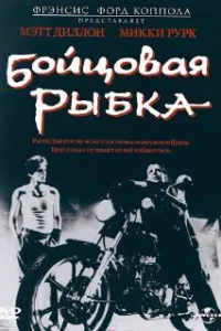  Бойцовая рыбка 