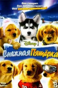  Снежная пятерка 