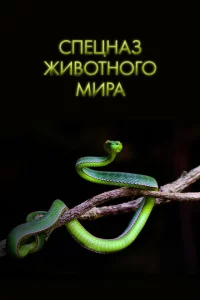 Спецназ животного мира