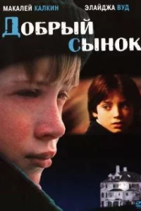  Добрый сынок 