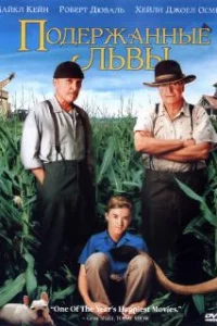 Подержанные львы 