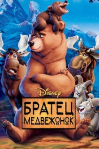  Братец медвежонок 