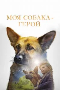  Моя собака — герой 