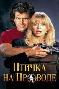  Птичка на проводе 
