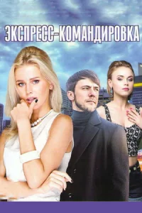  Экспресс-командировка 