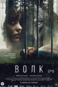  Волк 