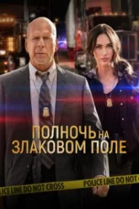  Полночь на злаковом поле 
