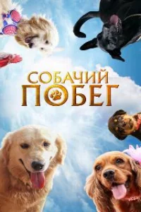  Собачий побег 