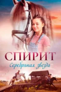  Спирит. Серебряная звезда 
