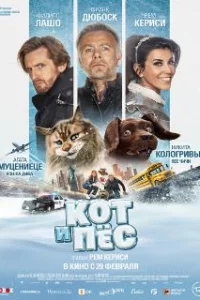  Кот и пёс 