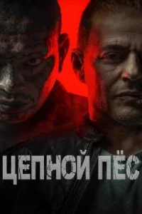  Цепной пёс 