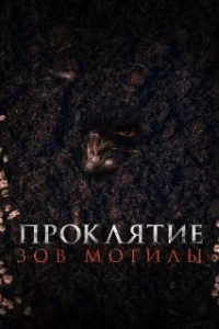  Проклятие «Зов могилы» 