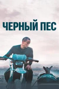  Чёрный пёс 