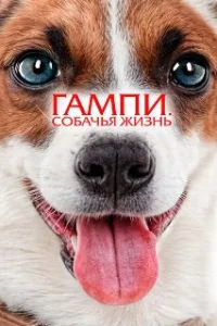  Гампи. Собачья жизнь 