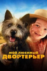  Мой любимый двортерьер 