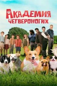  Академия четвероногих 