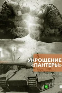  Укрощение «Пантеры» 