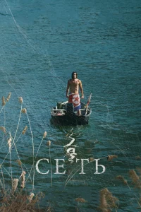  Сеть 